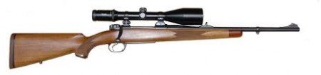 wepons and ammo